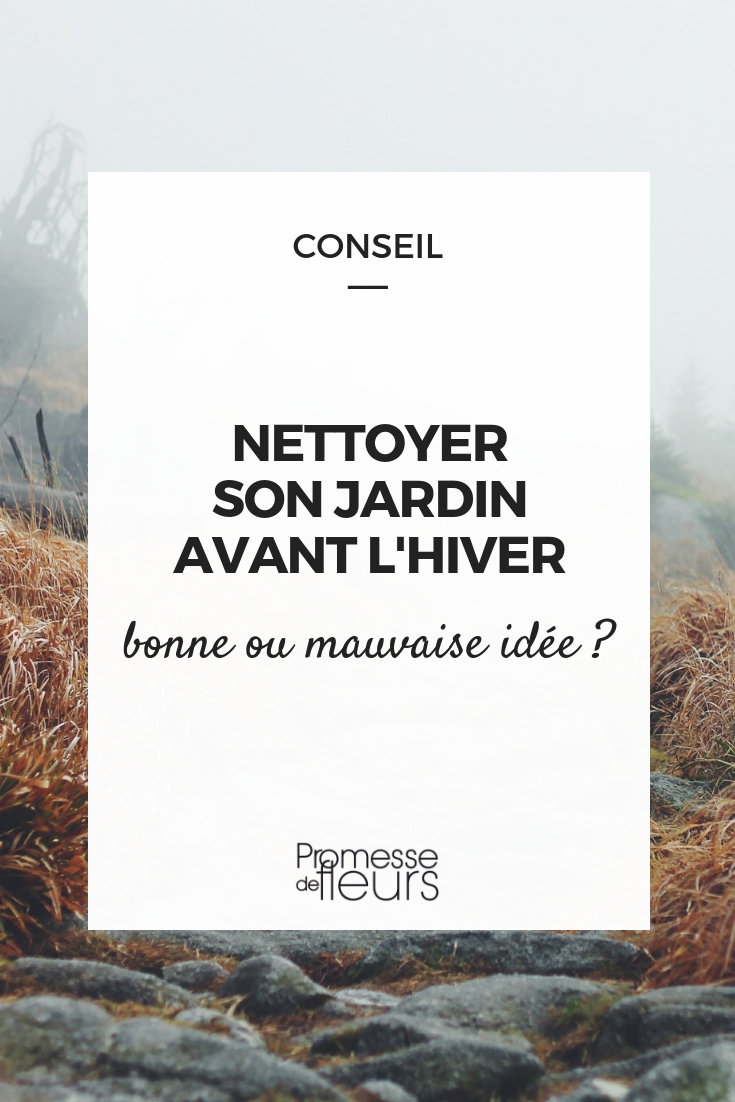 Limpiar tu jardín antes del invierno Limpiar el jardín antes del invierno
