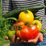 Elige tus tomates: ¡cultiva la diversidad en el huerto!