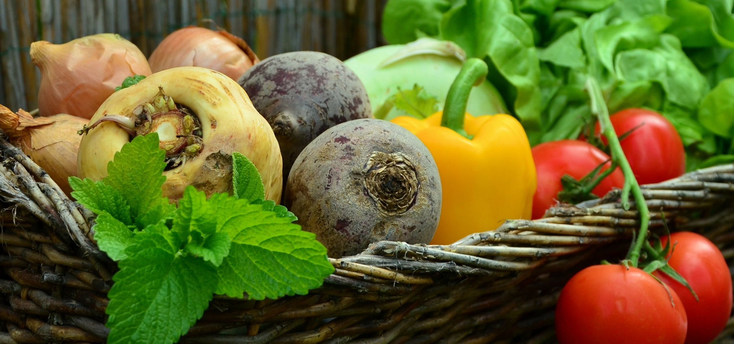 El huerto cuadrado: un método fácil y productivo para cultivar tus verduras