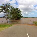 ¿Se ha inundado su jardín? ¿Qué hacer después de que haya bajado el agua?