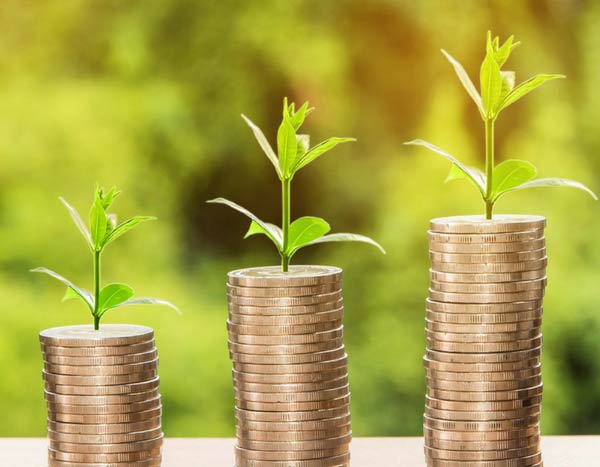 10 consejos para jardiner sin gastar demasiado