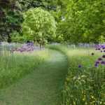 Jardín sin mantenimiento: consejos, trucos y plantas adecuadas