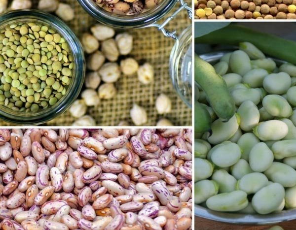5 buenas razones para cultivar leguminosas