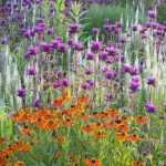 Macizo de flores: ¡varía y combina las formas!