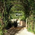 Trenzado del sauce vivo: seto, cabaña...