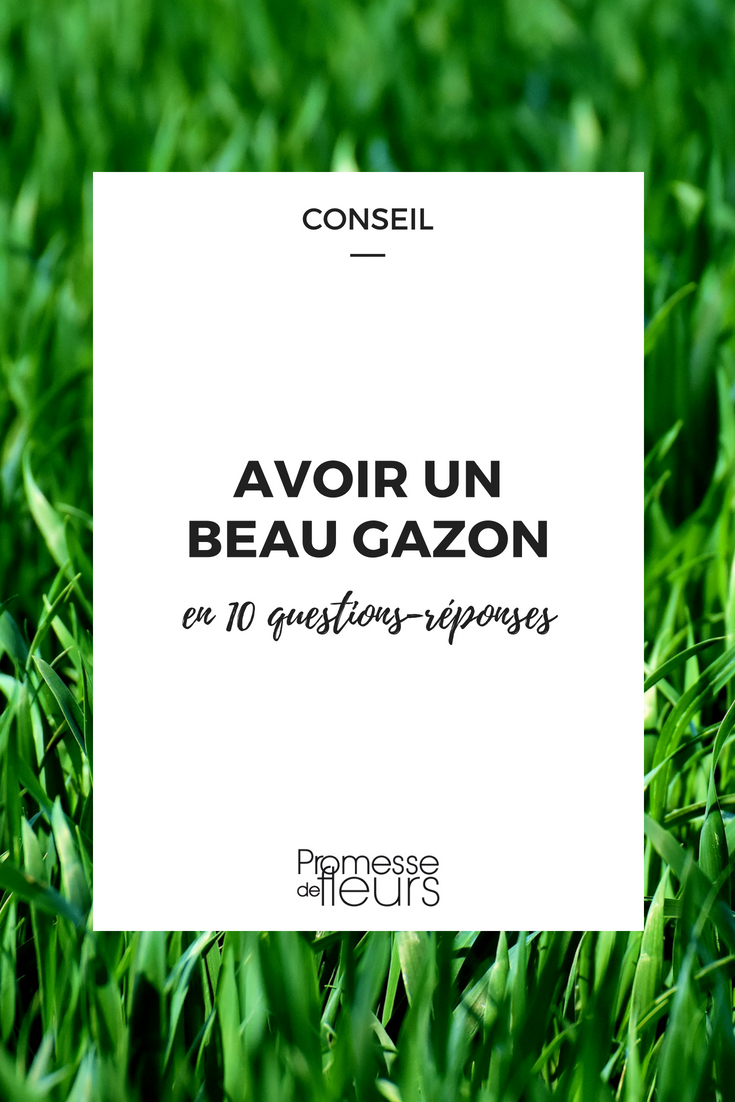 ¿Cómo tener un césped bonito sin malas hierbas? ¿Cuándo sembrar tu césped? ¿Cómo mantenerlo, cortarlo y renovarlo sin tener que empezar de cero...? Nuestros expertos en jardinería responden a todas tus preguntas sobre el césped y el jardín.