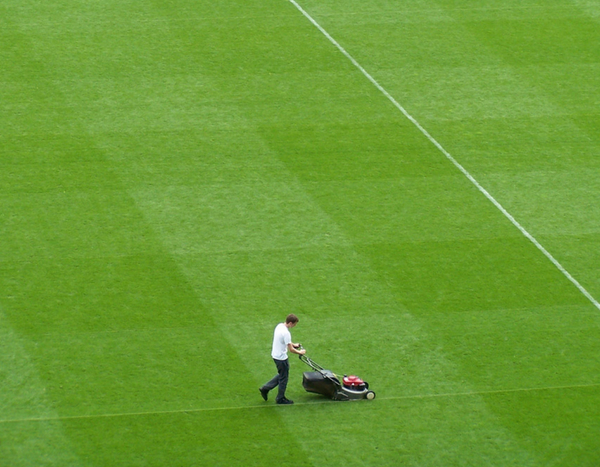 Cómo elegir bien tu cortacésped