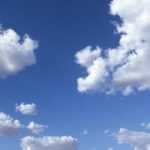 Plantas rústicas y rusticidad