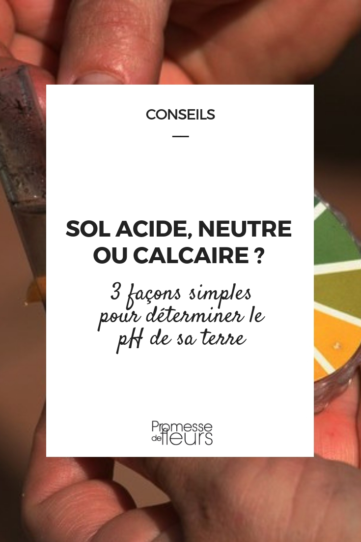 3 formas sencillas de determinar el pH del suelo (1) determinar el pH de tu tierra