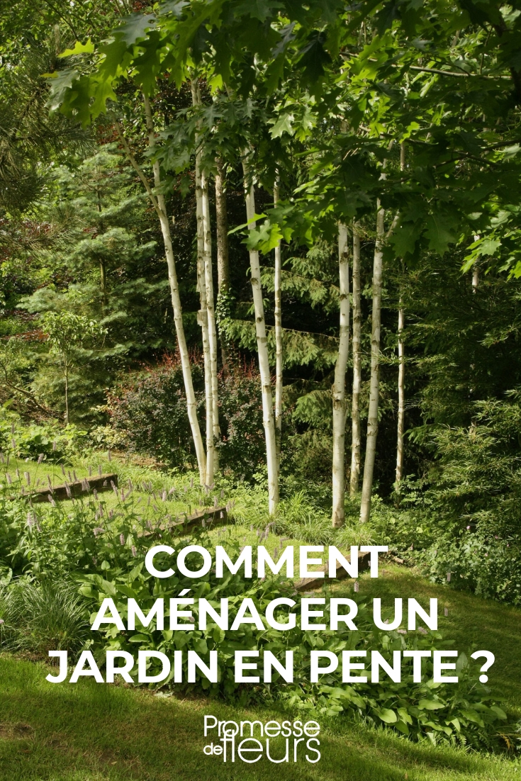 amueblar un jardín en pendiente (1) jardín en pendiente