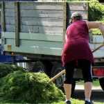 Residuos verdes: soluciones de reciclaje y valorización en el jardín