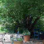 ¿Cómo diseñar un jardín alargado?