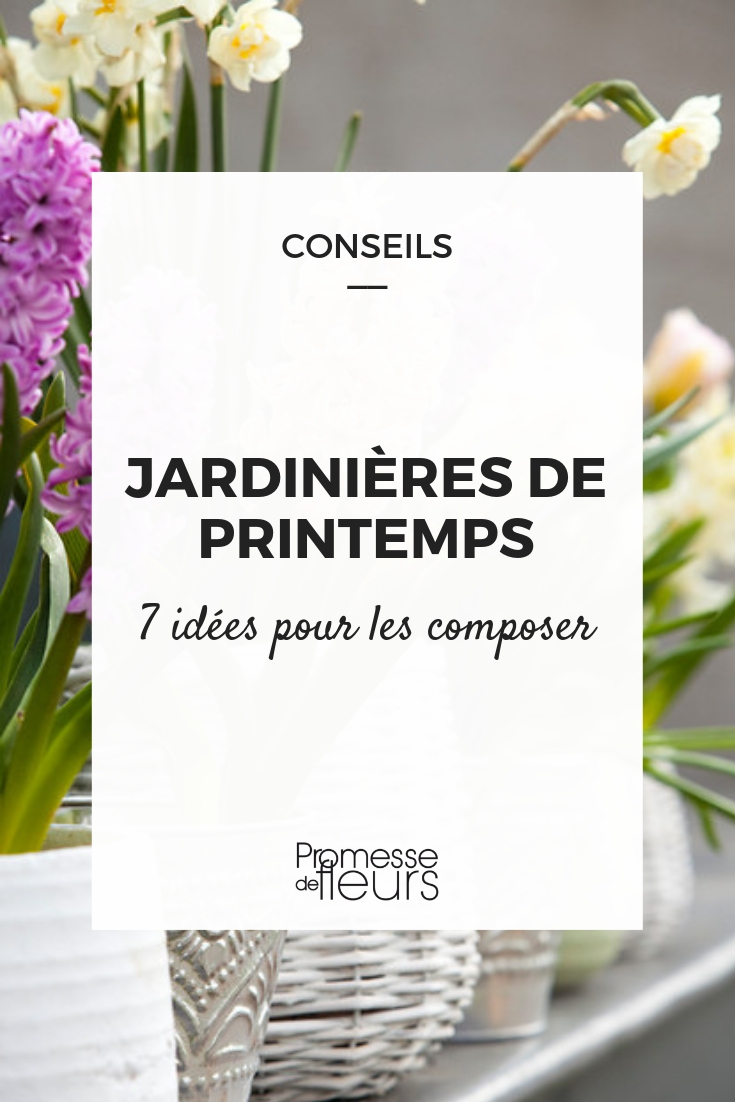 macetas de primavera componer una jardinera de primavera