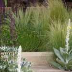 Cultivar en suelo seco o filtrante: todos nuestros consejos