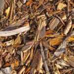 El BRF, o Bois Raméal Fragmenté: ¿qué es? ¿Cómo se utiliza en el jardín?