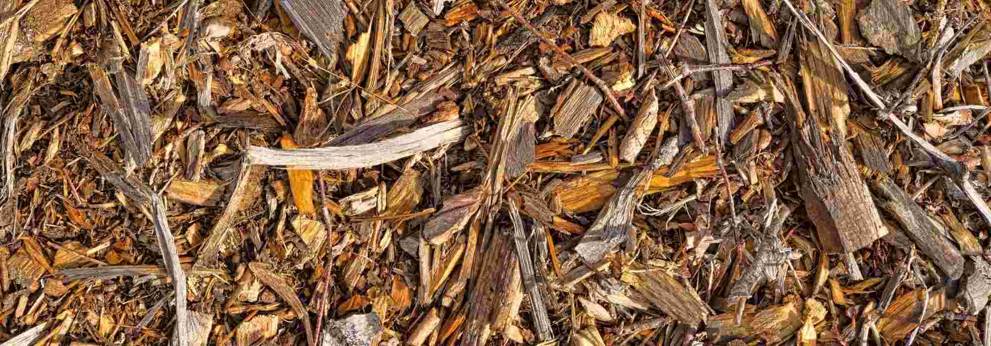 El BRF, o Bois Raméal Fragmenté: ¿qué es? ¿Cómo se utiliza en el jardín?