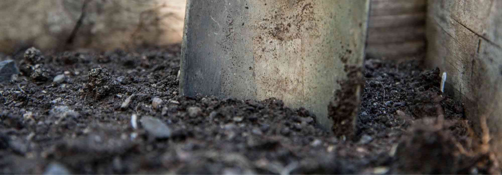 Cultivar en suelo ácido