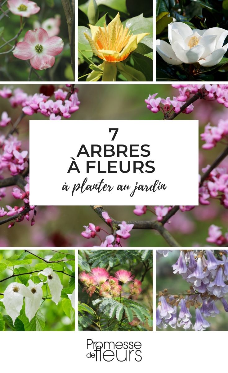 árboles en flor