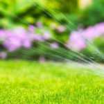 Riego automático: los diferentes sistemas, ¿cuál elegir?