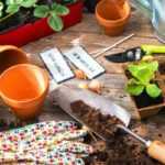 5 formas de conseguir plantas gratis