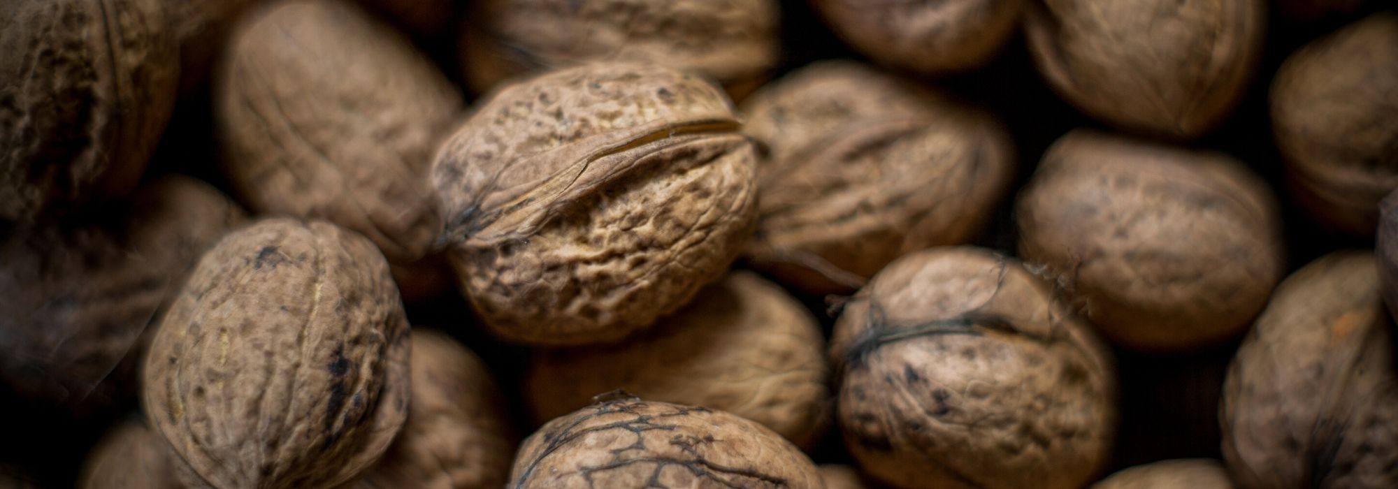 Nogal común, juglans regia: plantar, podar y cuidar