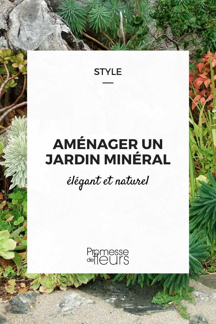 jardín mineral: cómo diseñarlo
