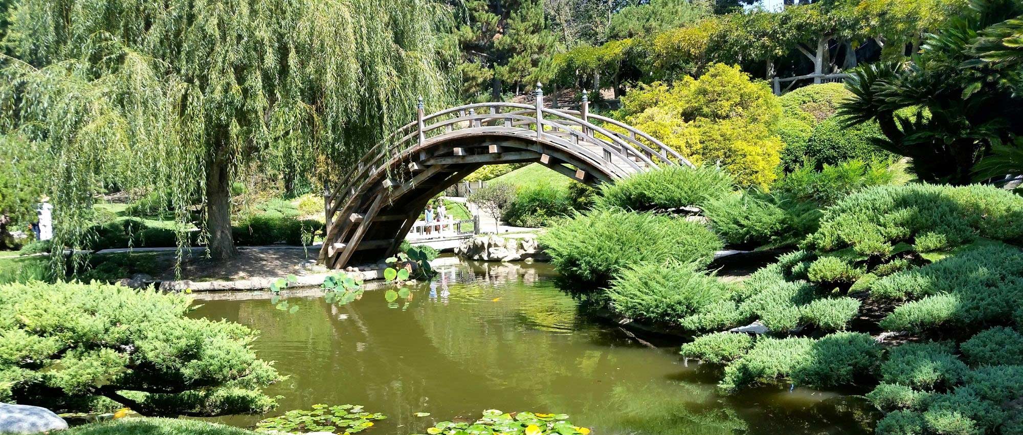 7 ideas de combinaciones para jardín japonés