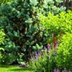 Jardín en una urbanización: cómo diseñarlo y personalizarlo