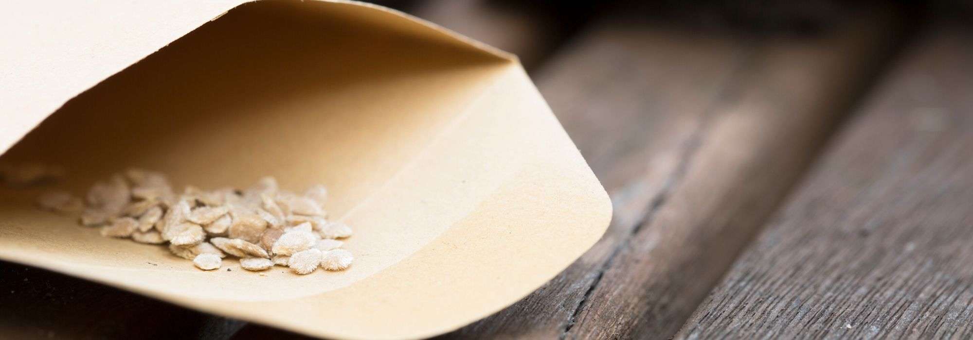 Conservación de semillas de huerto