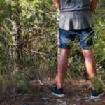 Orina en el jardín: ¿una buena idea de verdad?