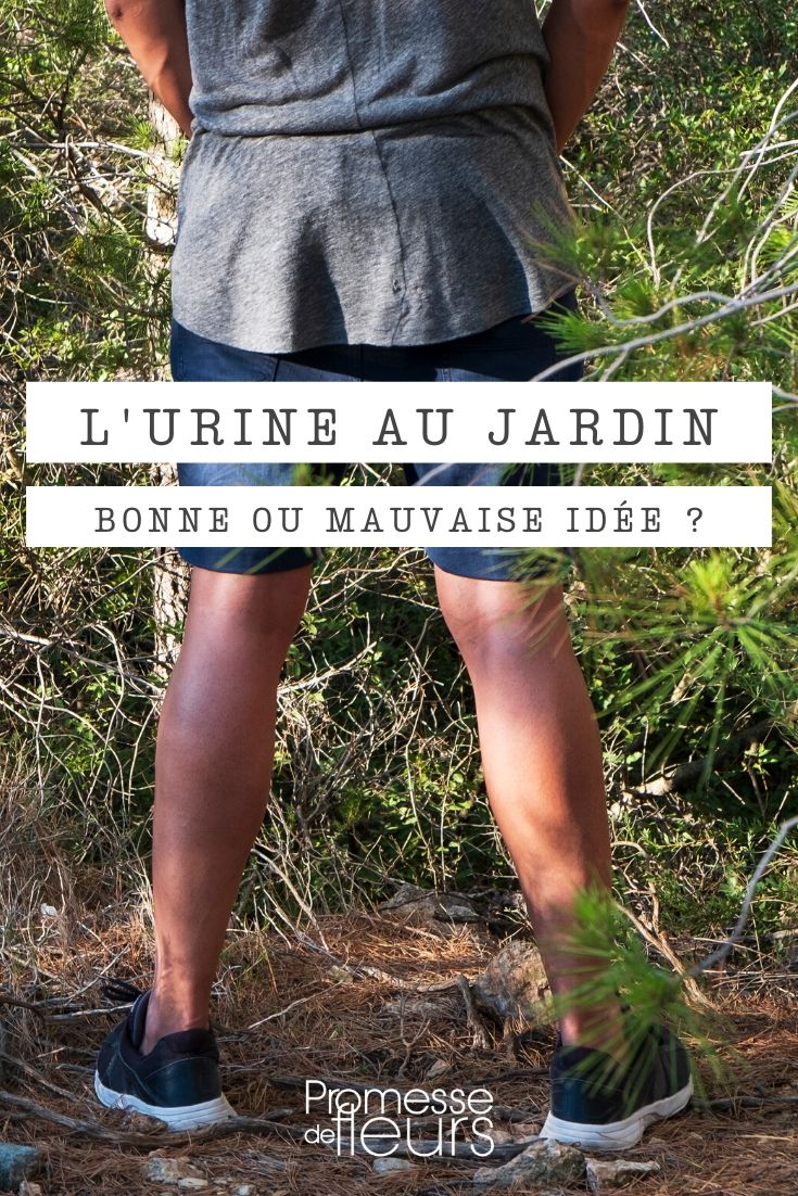 orina en el jardín usar la orina en el jardín