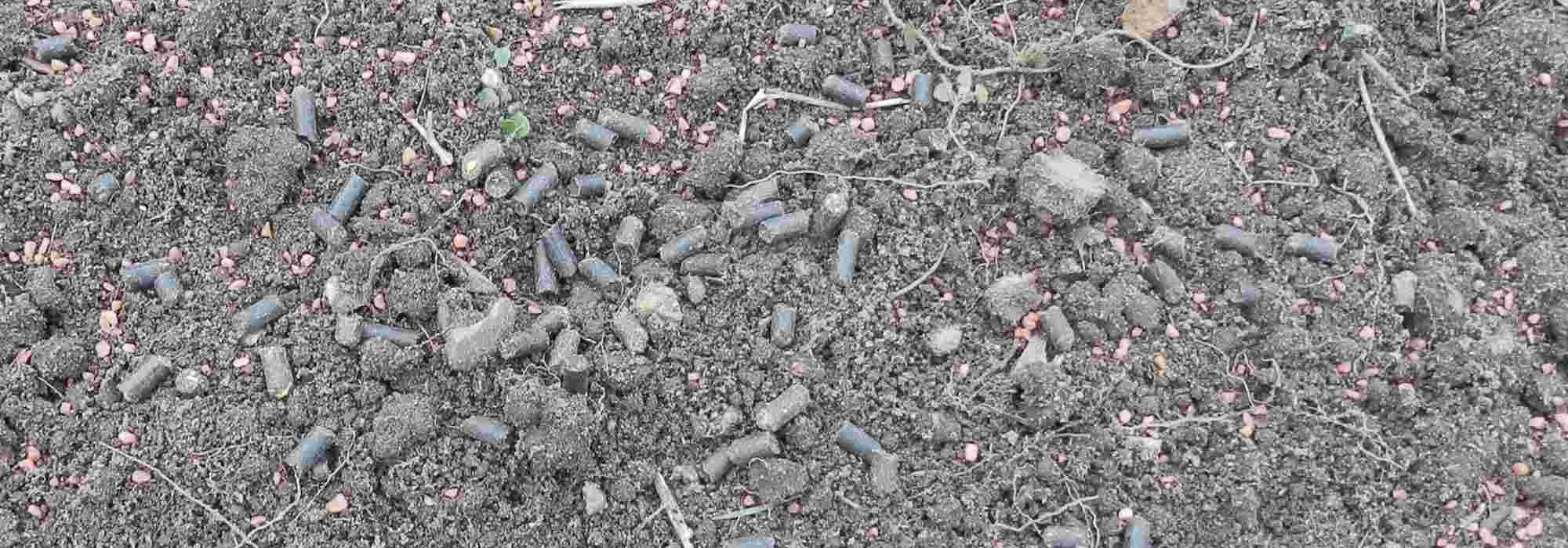 Estiércol granulado: ¿cómo utilizarlo correctamente en el jardín?