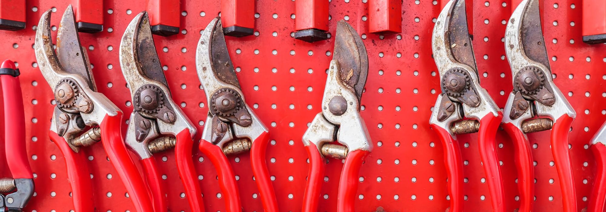 Cómo elegir bien las tijeras de podar