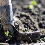 Abono o enmienda: ¿cuál es la diferencia?