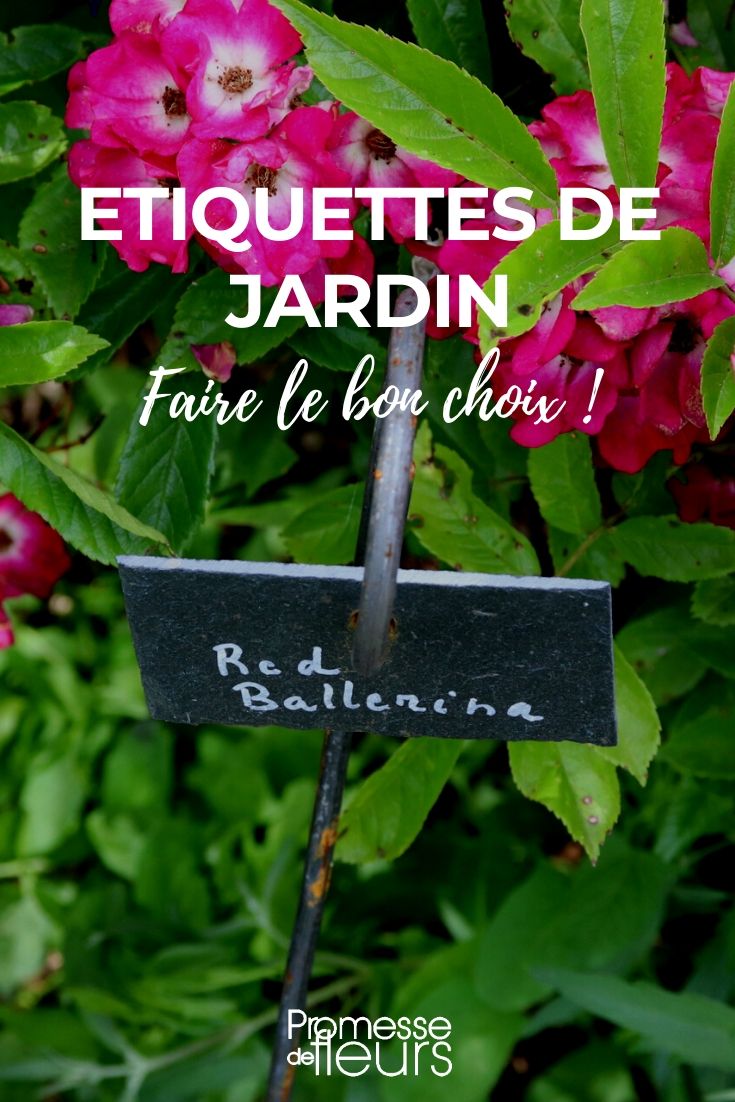 Cómo elegir correctamente las etiquetas de jardín