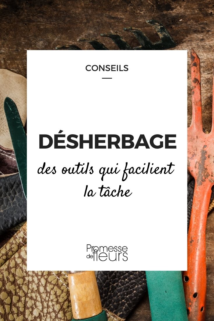 Nuestras herramientas para desherbar