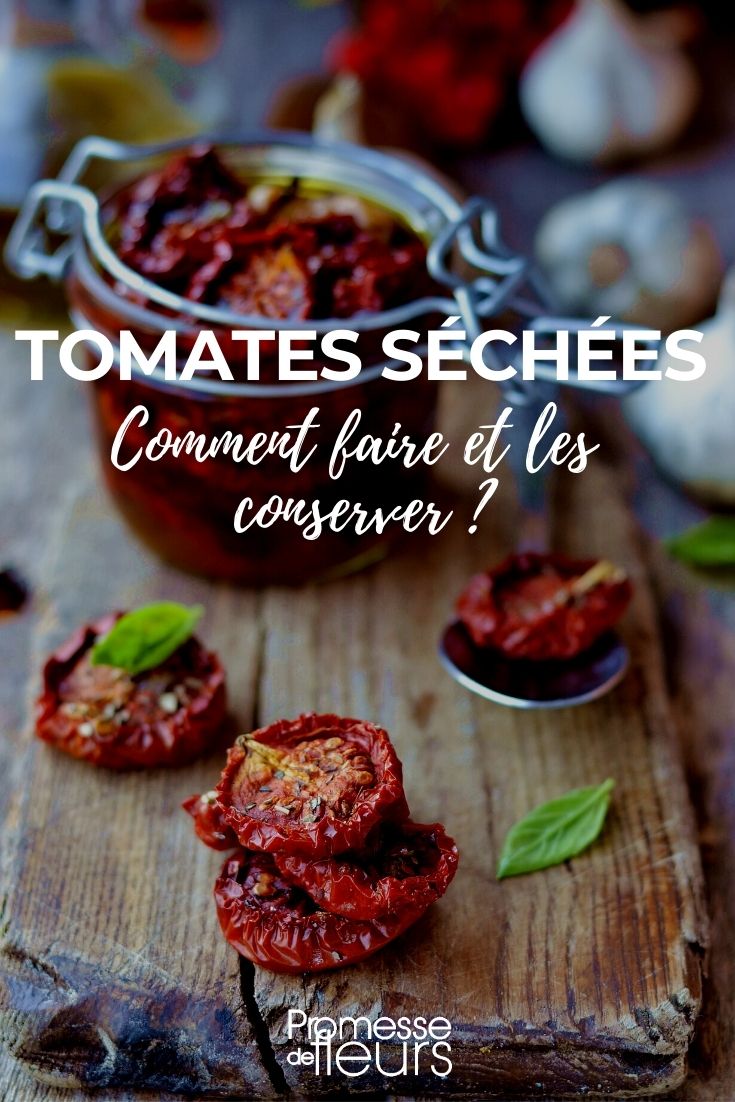 Tomates secas o confitadas: cómo hacerlas y conservarlas ¿Qué variedad elegir, cómo hacerlo?