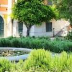 7 consejos para diseñar y conseguir un jardín mediterráneo