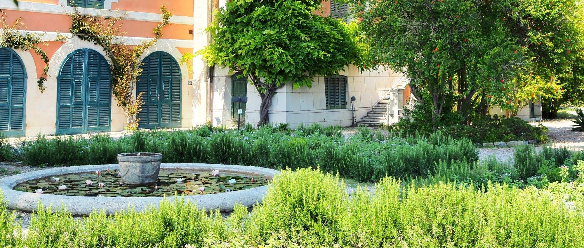 7 consejos para diseñar y conseguir un jardín mediterráneo