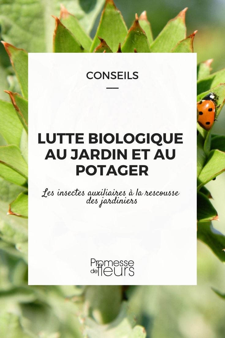 control biológico en el jardín y el huerto ayudantes del jardín