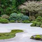 ¡Jardín mineral: 7 arbustos ideales!