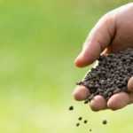 Cuerno triturado, sangre seca, guano... ¿Para qué sirven estos abonos en el jardín y en el huerto?