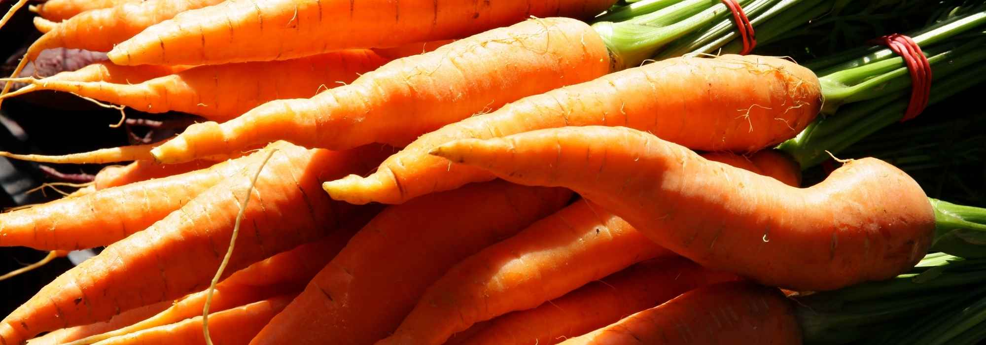 8 hortalizas tempranas