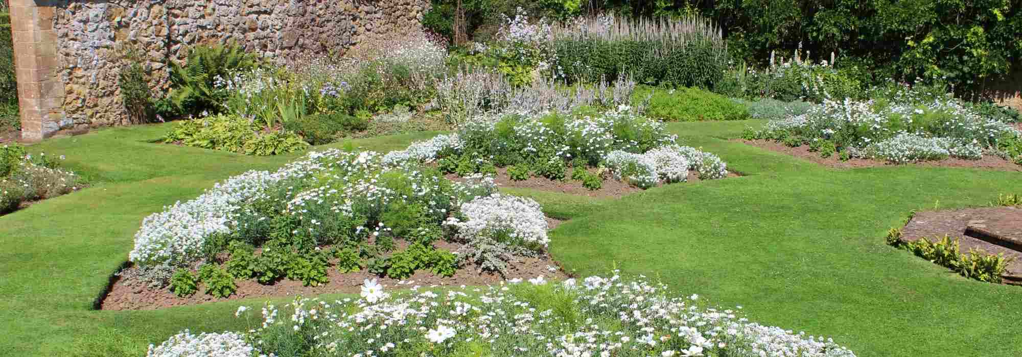 9 consejos de un paisajista para diseñar un jardín blanco