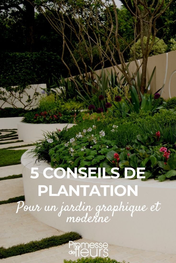 5 consejos de plantación para un jardín gráfico y moderno
