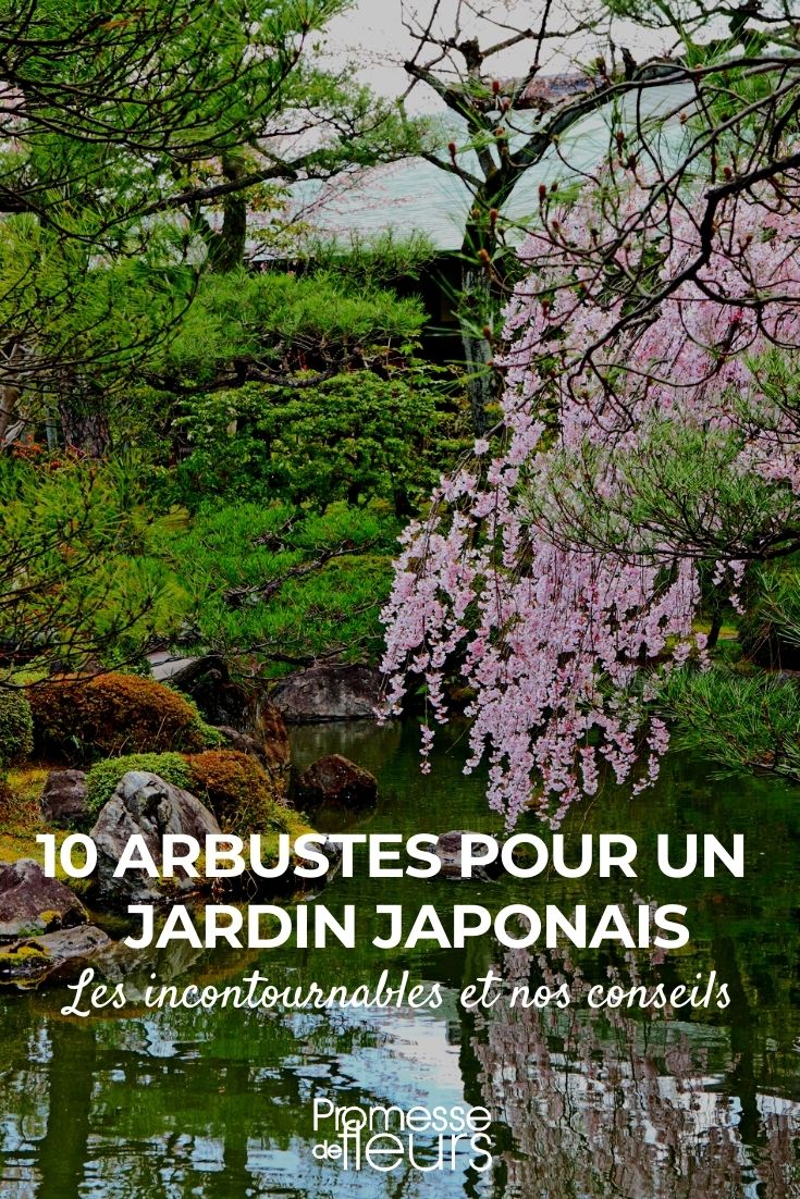 10 arbustos para jardín japonés