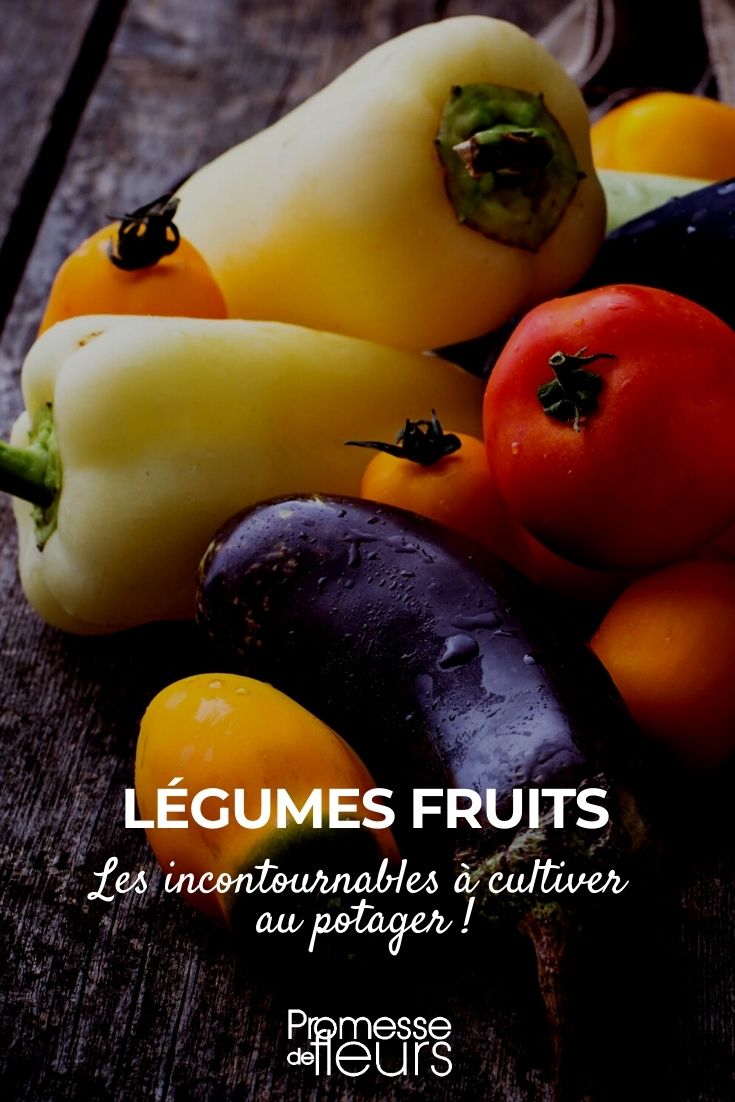 legumbre fruta
