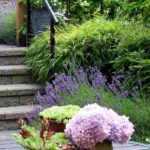 Diseñar un jardín urbano