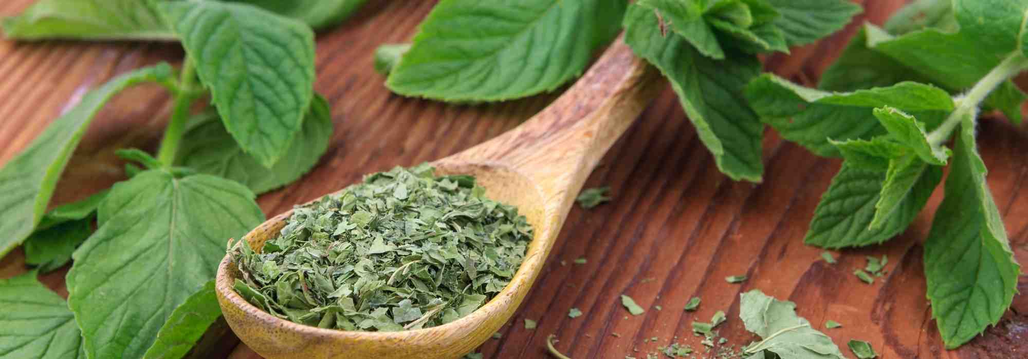 ¿Cómo conservar la menta fresca?