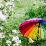 Microclimas en el jardín